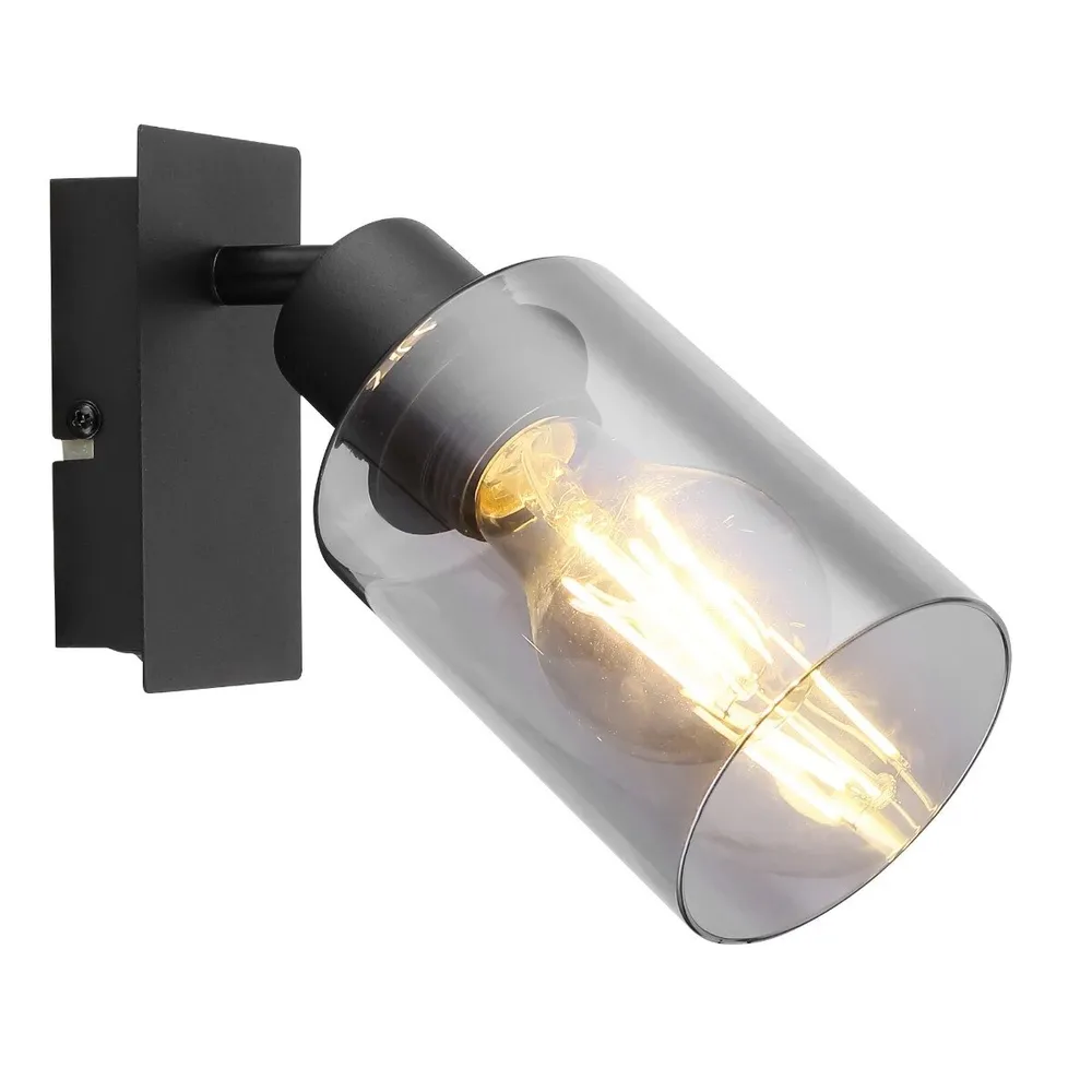 Aplica Hadera 15465-1, 1 x E27, negru mat + fumuriu, modern