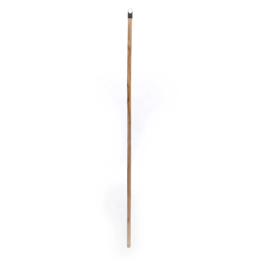 Coada pentru uz industrial Plastor, lemn, natur, 120 cm