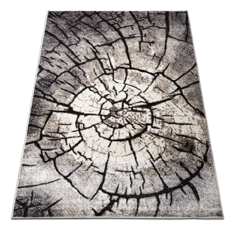 Covor Phoenix, polipropilena, 120 x 170 cm, model copac