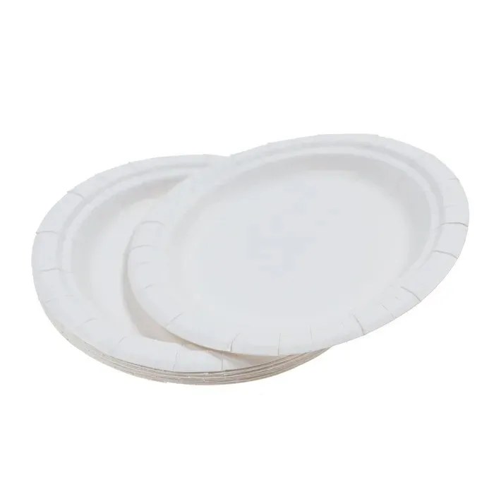 Farfurii rotunde din carton, nelaminate, alb, D 17 cm, set 10 bucati