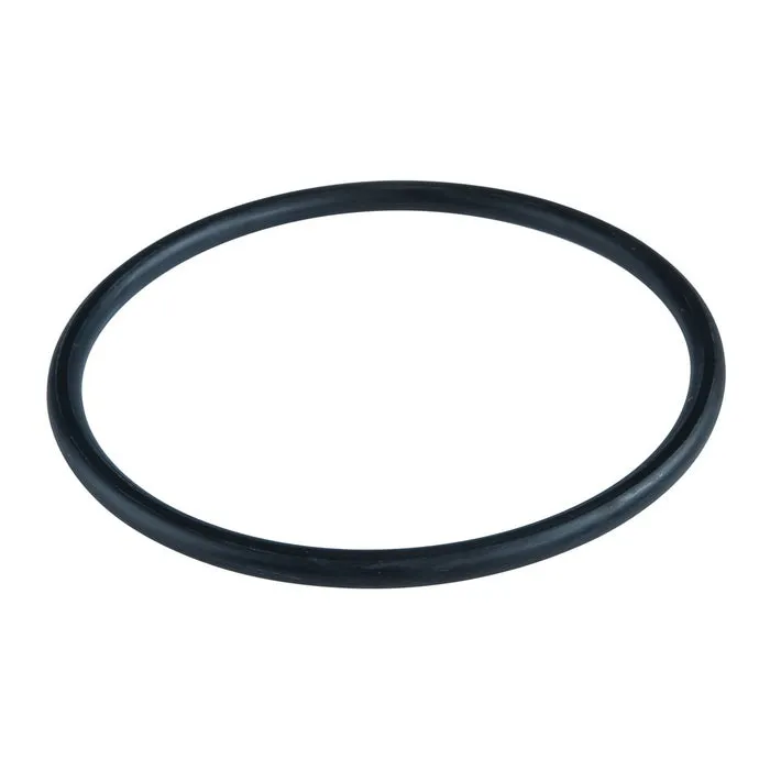 Garnitura filtru apa, ATLAS Filtri O-Ring Mignon