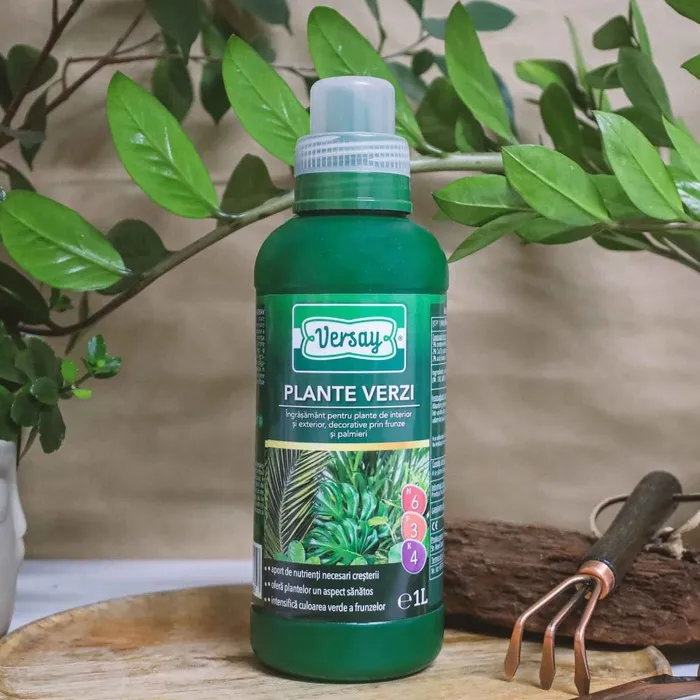Ingrasamant pentru plante verzi Versay, 1 L