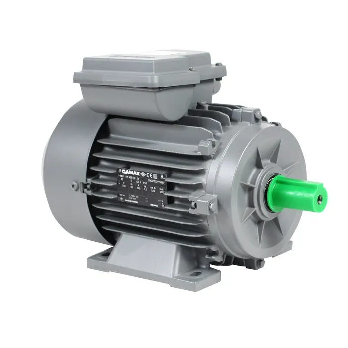 Motor electric, monofazat, Gamak M21D 90 L 2, 2.2 kW, 2 CP