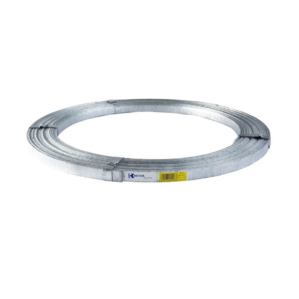 Platbanda zincata 25 x 4 mm, 25 kg, rola 31 m