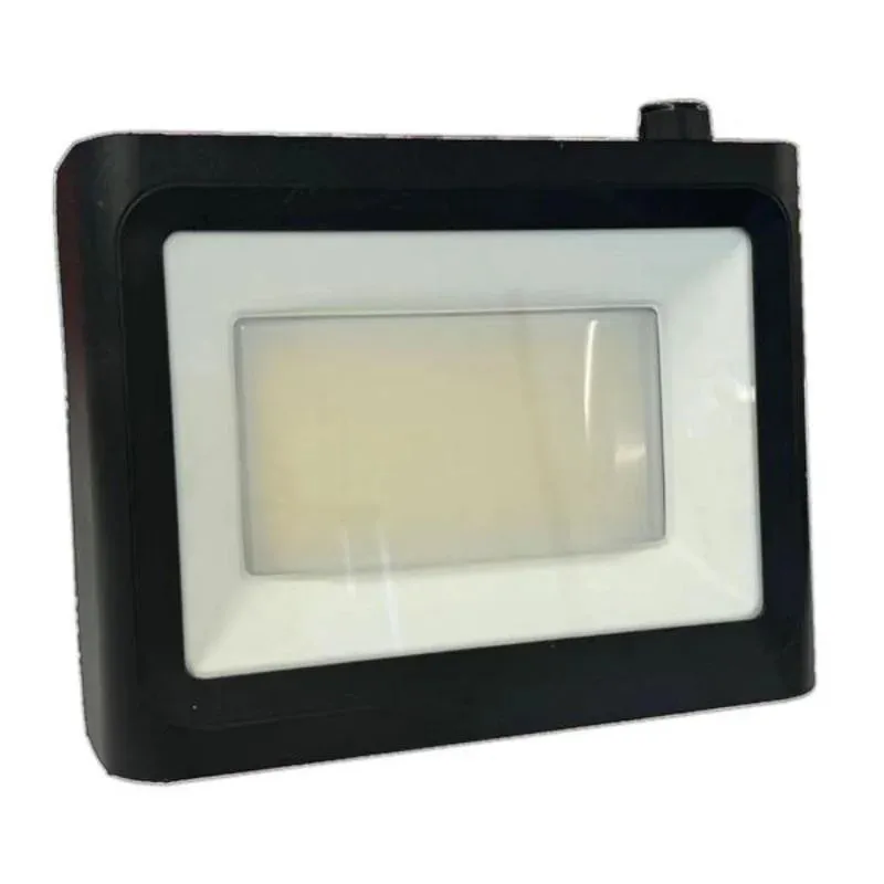 Proiector LED Albury, 50 W, 10500 lm, lumina neutra, IP65, negru
