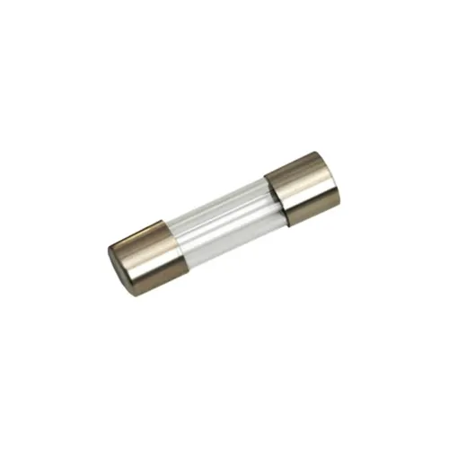 Set 10 sigurante rapide sticla 10A 5x20mm