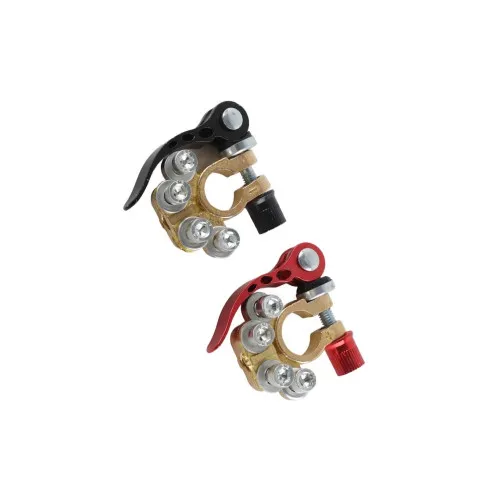 Set 2 borne profesionale cu 4 terminale si clema cuplare rapida — imaginea 2