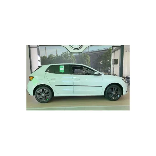 Set 4 bandouri usa compatibil Skoda Fabia 2022–> — imaginea 2