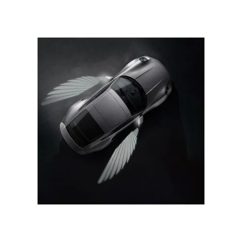 Set lampi LED 12V efect Angel Wings lumina alba