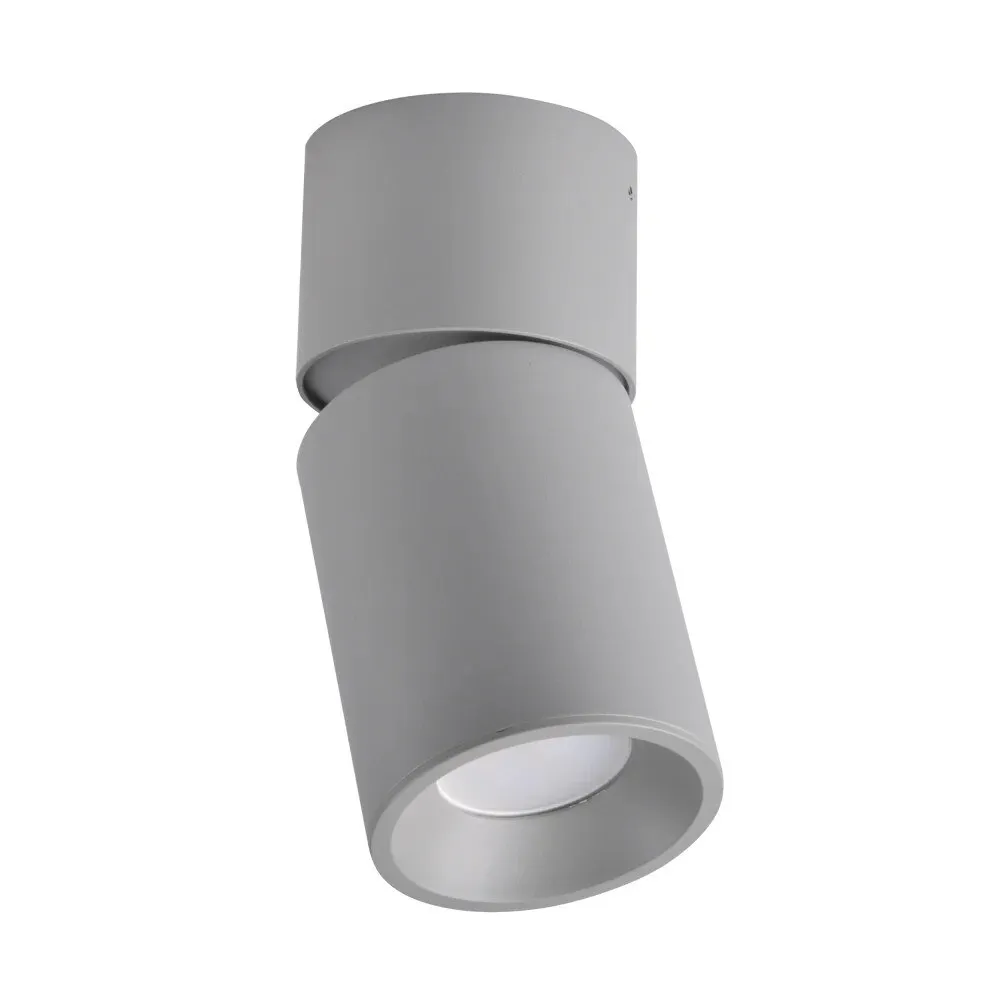 Spot aplicat reglabil, Nixa, 1 x GU10, 10 W, rotund, gri