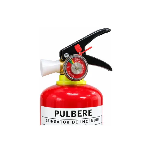 Stingator auto reincarcabil 1 kg P1 cu manometru EN3 — imaginea 2