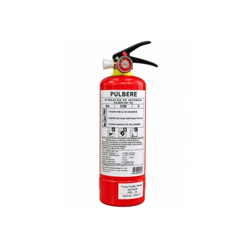 Stingator auto reincarcabil 1 kg P1 cu manometru EN3