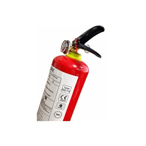 Stingator auto reincarcabil 1 kg P1 cu manometru EN3 — imaginea 3