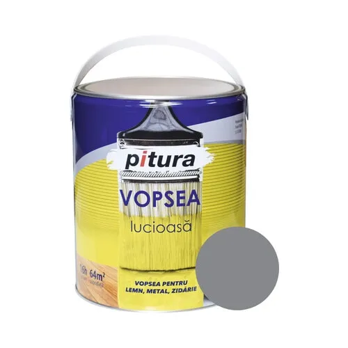 Vopsea universala Pitura gri metal 4 l